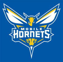 Mobile Hornets Basketball