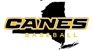 Canes NY Baseball 