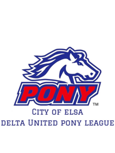 Pony End of season Teams