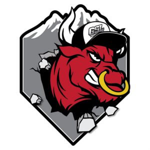 Bullpen Series Boise Father's Day Classic Venues