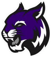 Breese D12 Basketball League