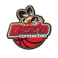 Bees Travel Basketball