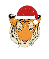 6th Annual Massillon Holiday Shootout