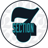 Section 7 Girls 