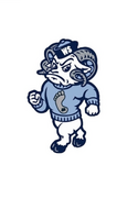 Youth Sports of Winston Salem Inc