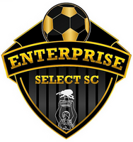 3v3 Live - Enterprise