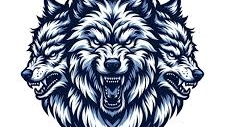 Wolfpack basketball Tryouts
