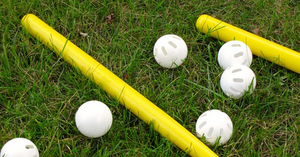 1st Annual Wenban Wiffle Ball Tourment