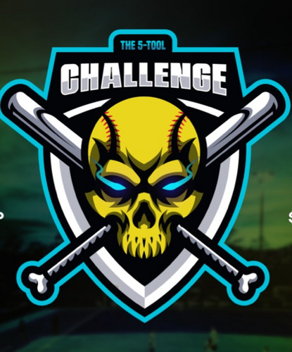 Bluechip 5 Tool Challenge