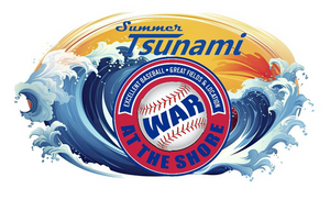SUMMER TSUNAMI Teams