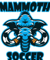 Mammoth Spring Cup
