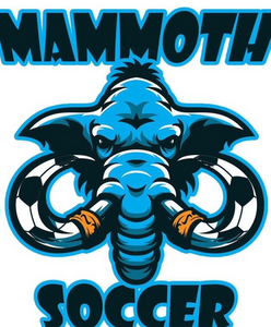 Mammoth COPA '26 Standings