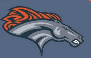 East Forsyth 2nd Memorial Day Classic  Venues