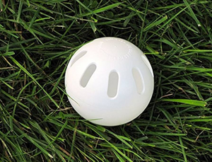 2nd Annual Wenban Wiffle Ball Tournament  Venues