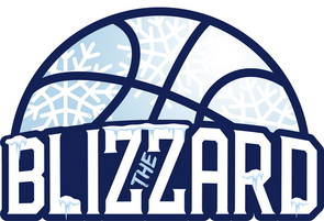 The Blizzard Powered By OrthoCarolina