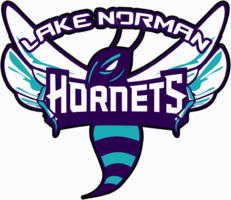 Lake Norman Hornets