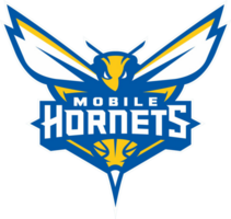 Mobile Hornets Basketball