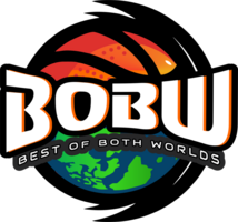 BOBW Basketball Services