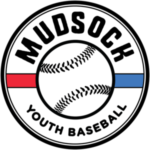 2026 Fall Rec Baseball Teams