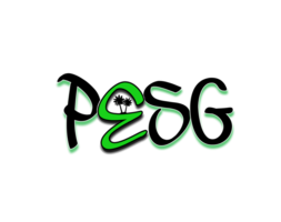 Palmetto Elite Sports Group