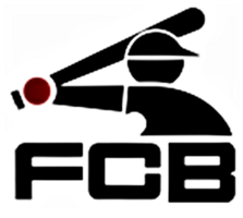 Fielder's Choice Baseball