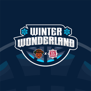 Winter Wonderland Teams