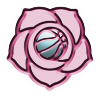 Rose Classic 