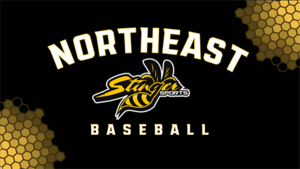 Northeast Stingers