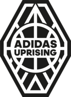 2016 adidas Gauntlet
