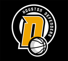 Houston Defenders