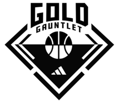 adidas Boys GOLD Chapters 1 & 2