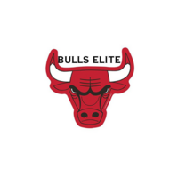 Forest City Bulls Elite