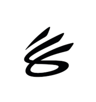 Team Curry Tournaments