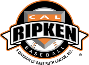 Arizona Cal Ripken 9U State Championship  Teams