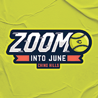 Zoom Into June Teams