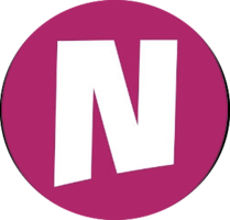 Netzo Volleyball Association