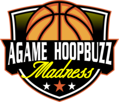 AGAME HOOPBUZZ MADNESS