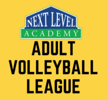 Next Level Adult Volleyball League