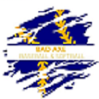 Bad Axe All-Star Tournament