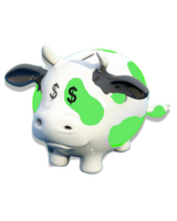 Cash Cow Showcase