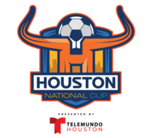 3v3 Live - Houston National Cup