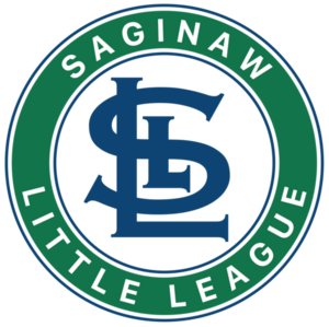 MI State Little League Tournament Standings