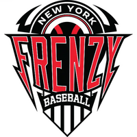 Prep Baseball Frenzy