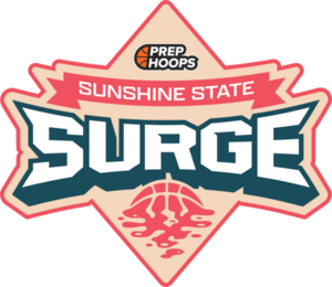 Sunshine State Surge Teams