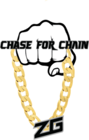ZERO GRAVITY Chase for the Chain NY
