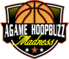 AGAME HOOPBUZZ MADNESS