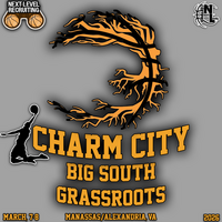 BIG SOUTH GRASSROUTS