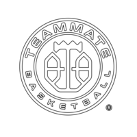 Teammate Basketball