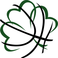 Sons of Ireland Basketball