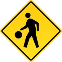 The Summer Shootout